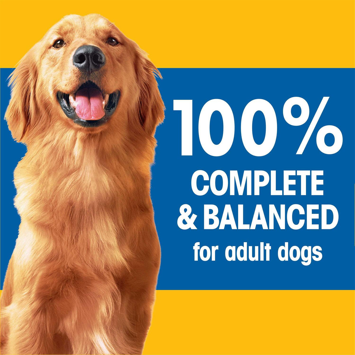 Adult Complete Nutrition Dry Dog Food Roasted Chicken Rice & Vegetable Y284641