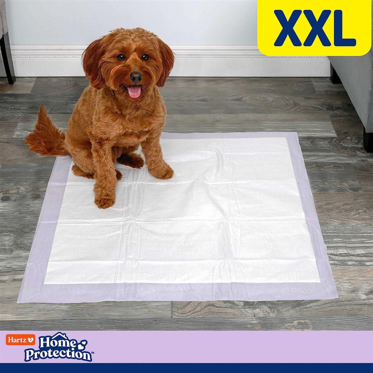 Lavender Scent Odor Eliminating Dog Pads H601167