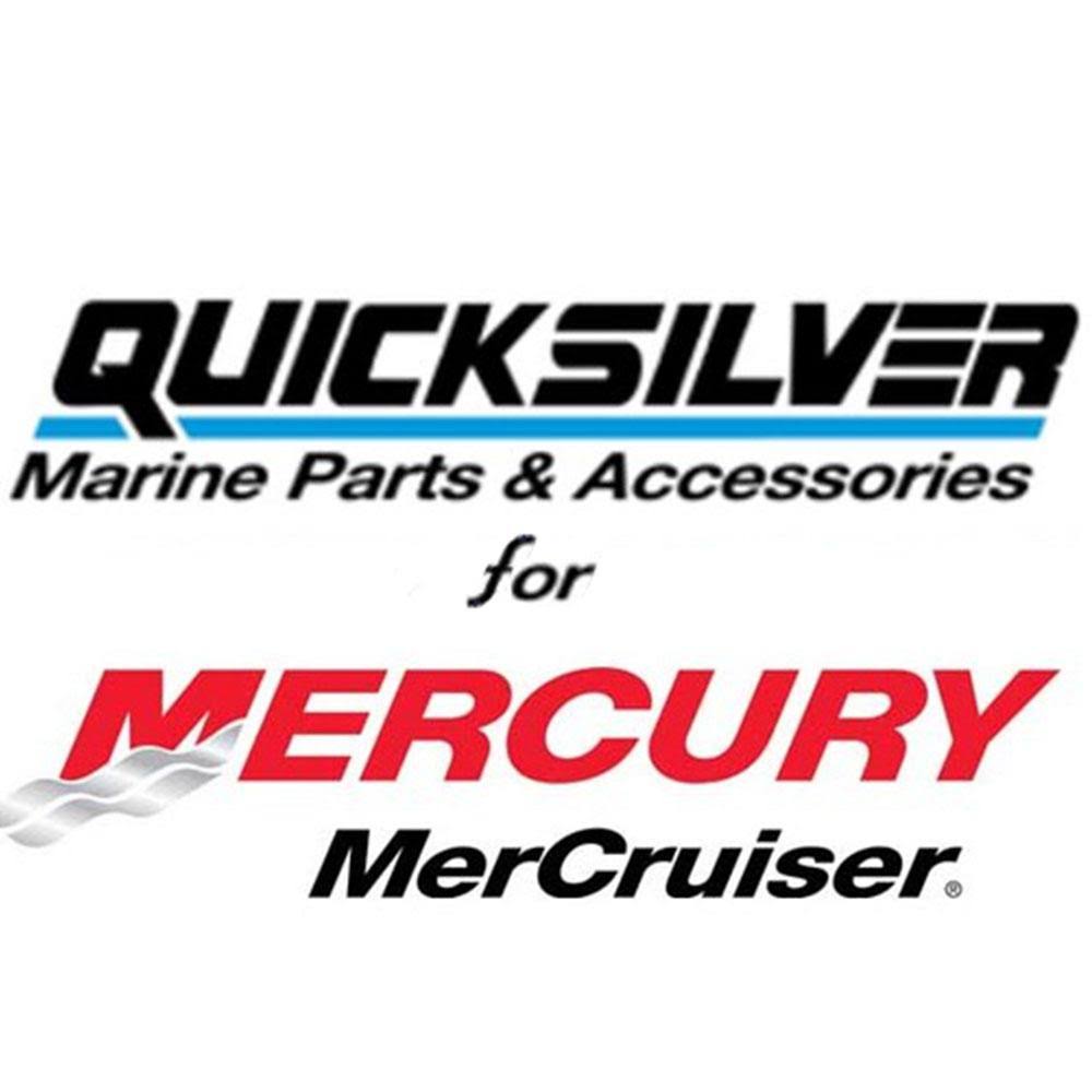 Carburetor Repair Kit I5560