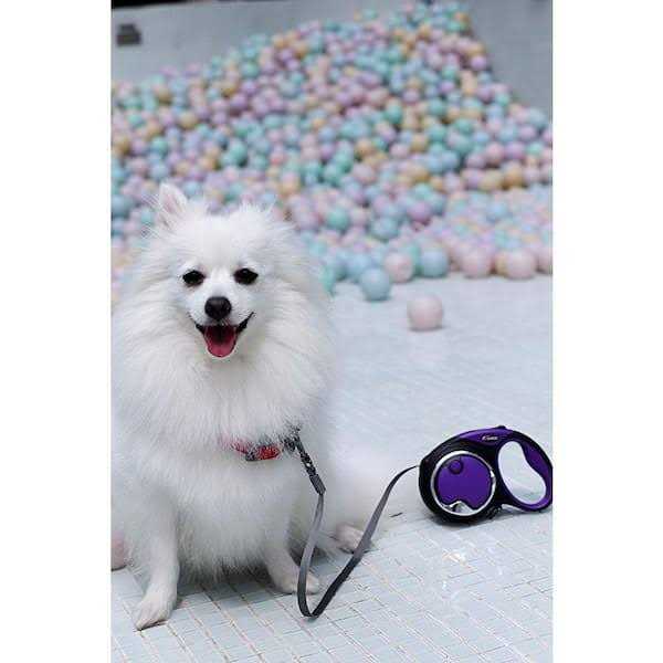 Smart Retractable Leash T41747