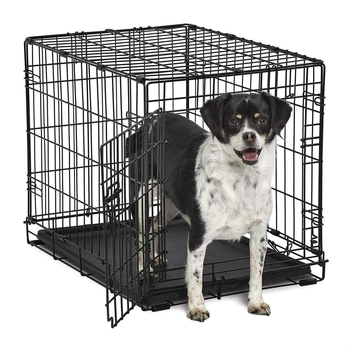 Single-Door Dog Crate W2129