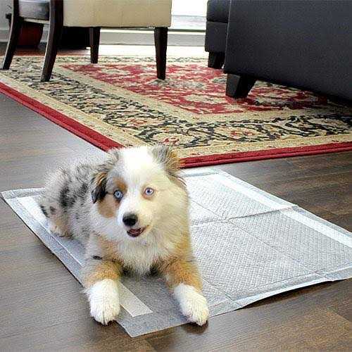 Dog Pee Pads N5776
