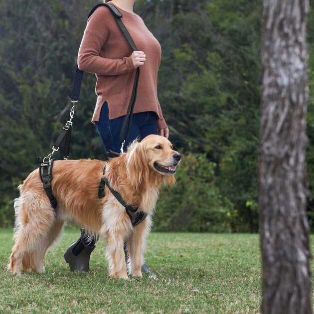 Front Rear Lift Dog Harness R8868