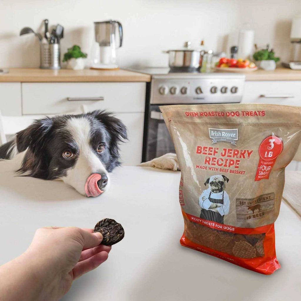 Beef Jerky Dog Treats L585