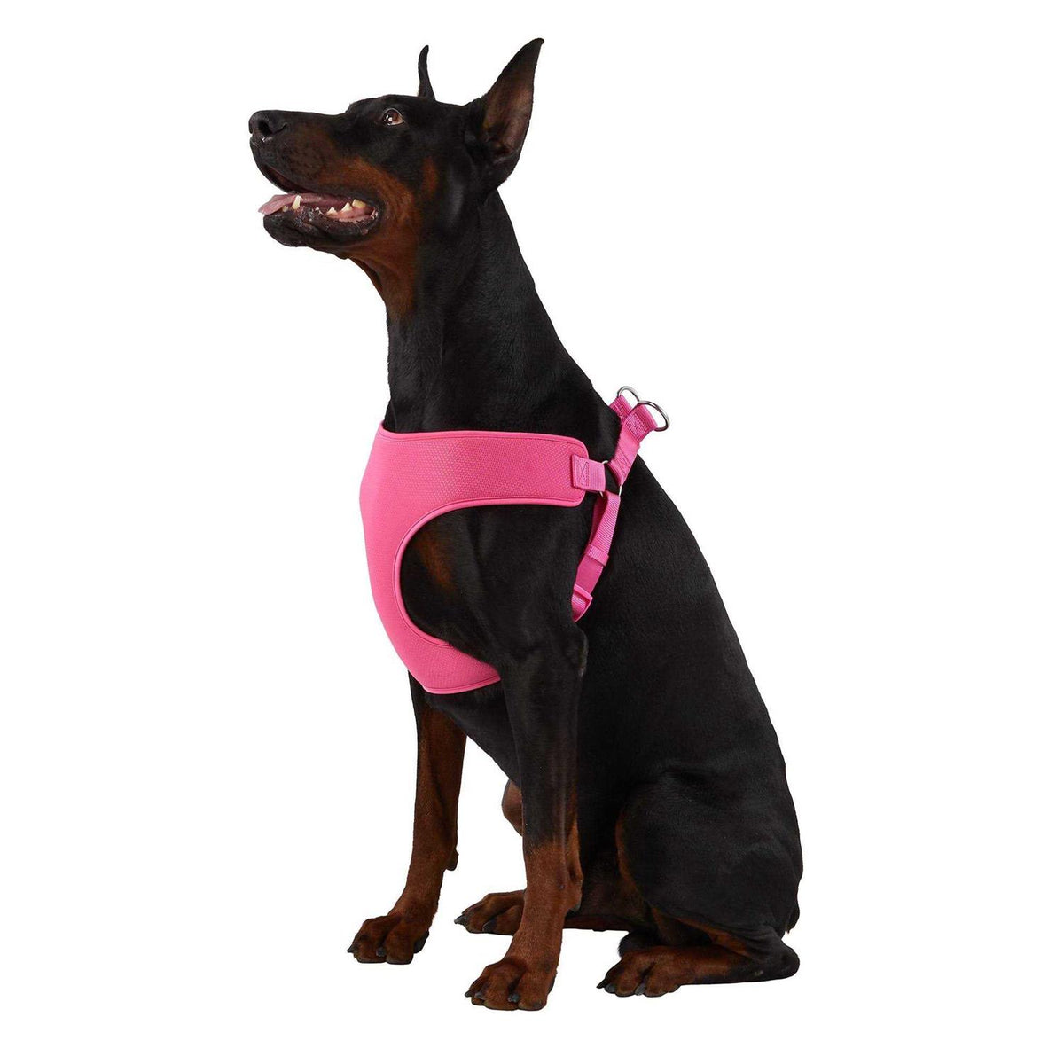 Mesh Dog Harness W357