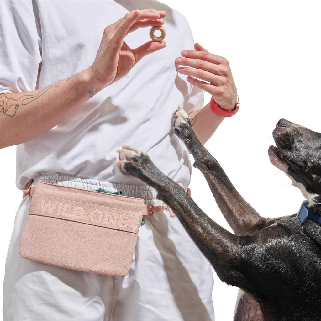 Cotton Dog Treat Pouch B6110