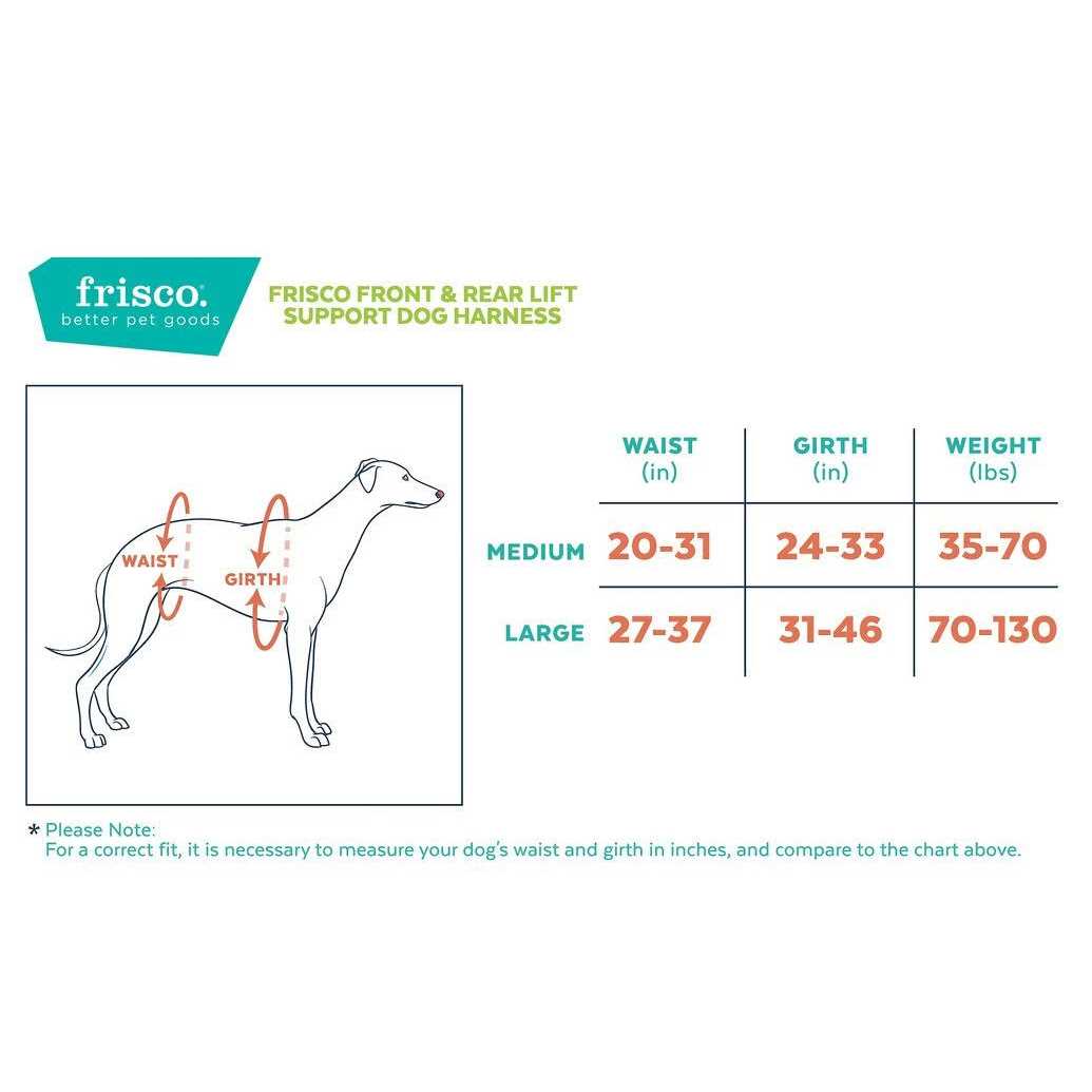 Front Rear Lift Dog Harness R8868