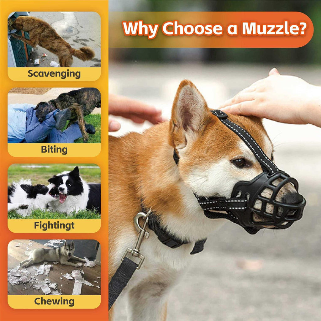 Dog Muzzle D4843