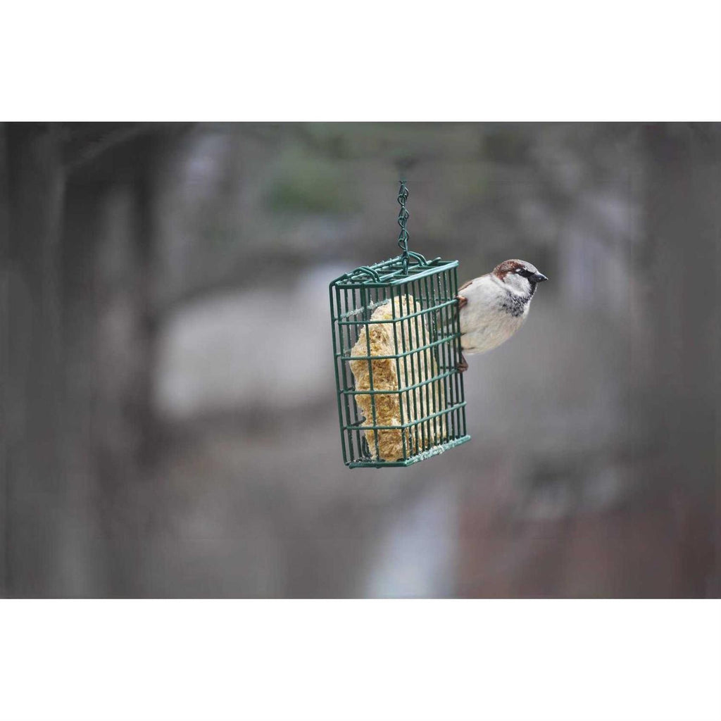 Mealworm Suet Dough G272133