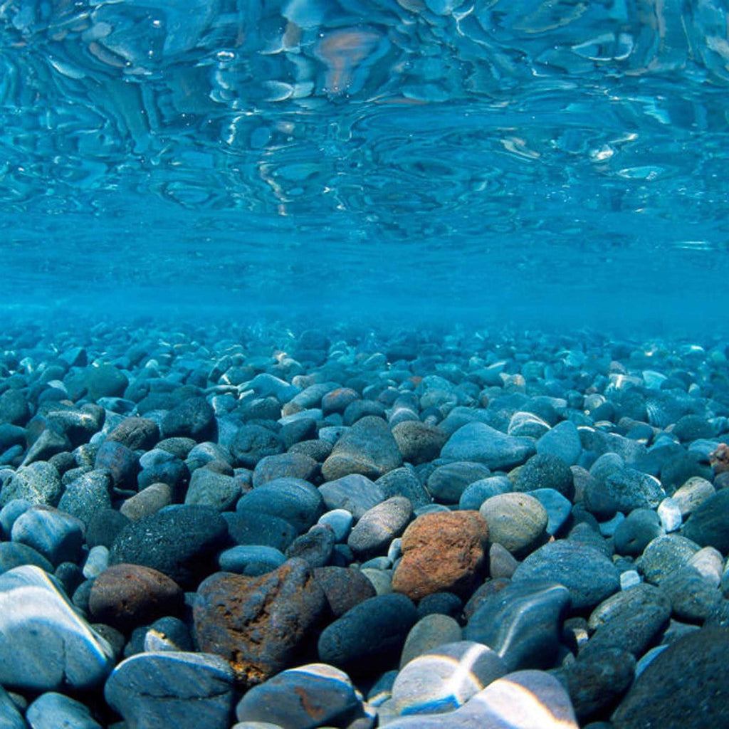 River Rock/Coral Bliss Background N237