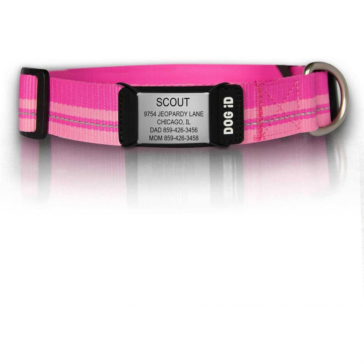 Personalized ID Tag Dog Collar G7635