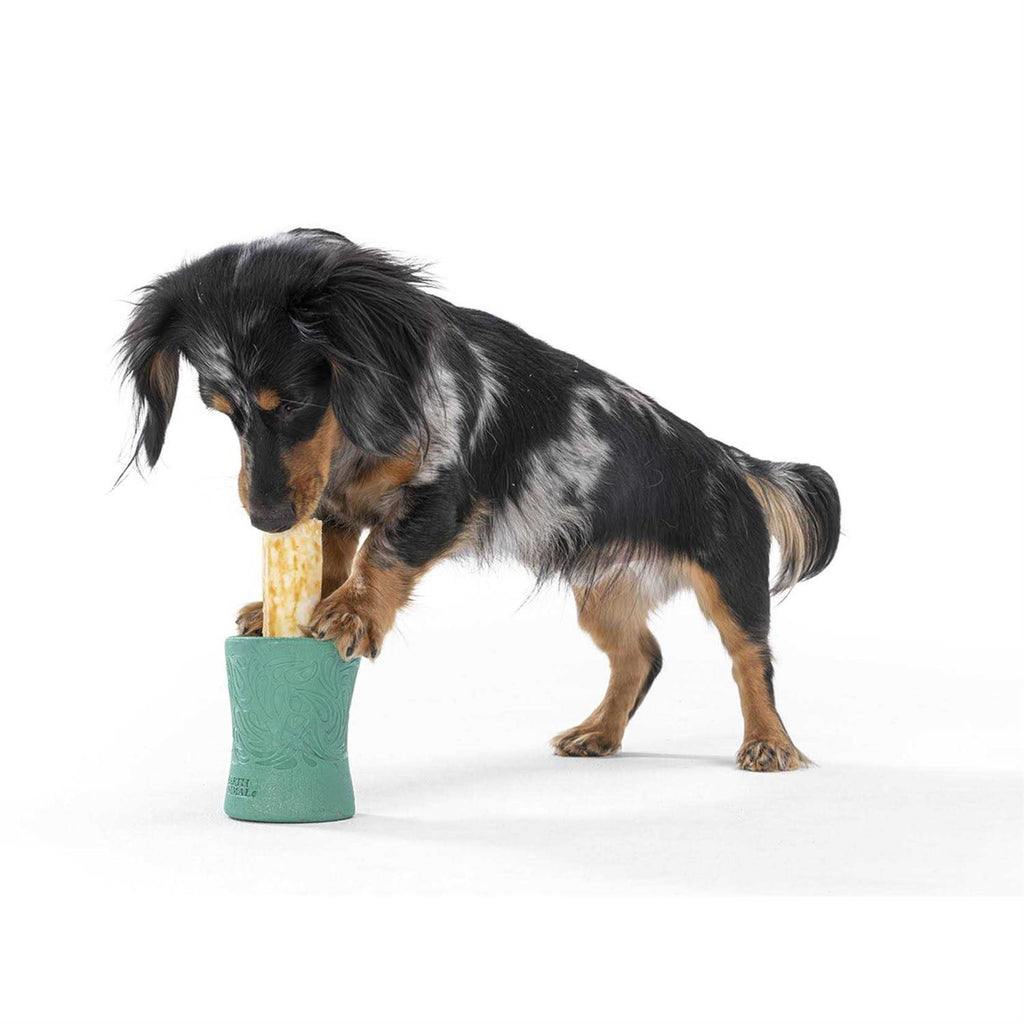 Dog Toy X7593