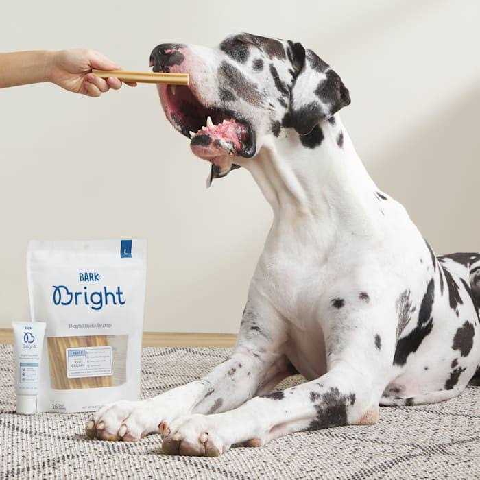 Dental Sticks for Large Dogs Chews L64122