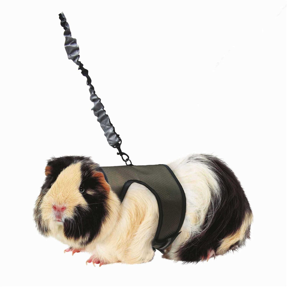 Comfort Harness Stretchy Leash T54665