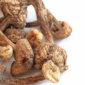 Dried Blazei Brazilian Cap Mushrooms 1 lb H3928