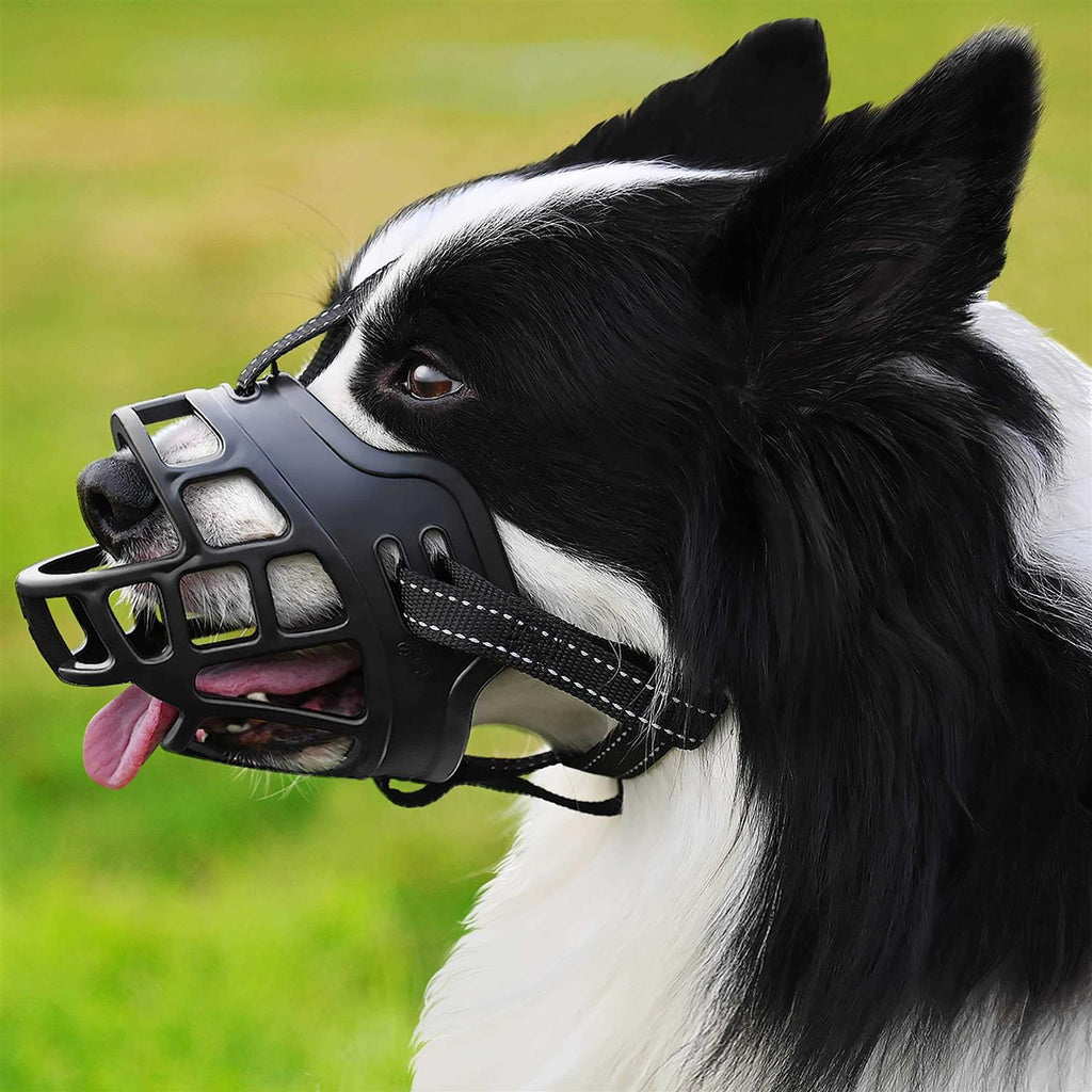 Dog Muzzle D4843