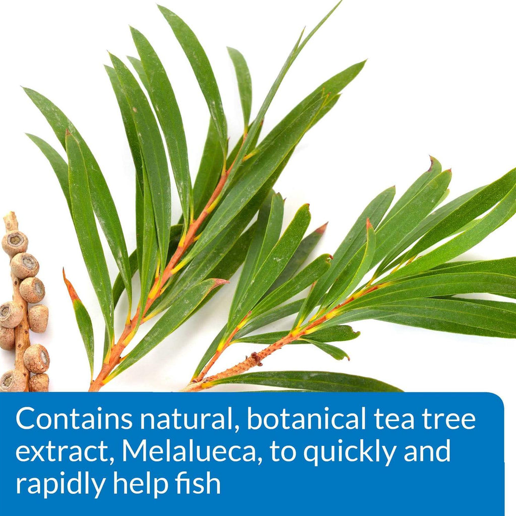 Fish Remedy H407515