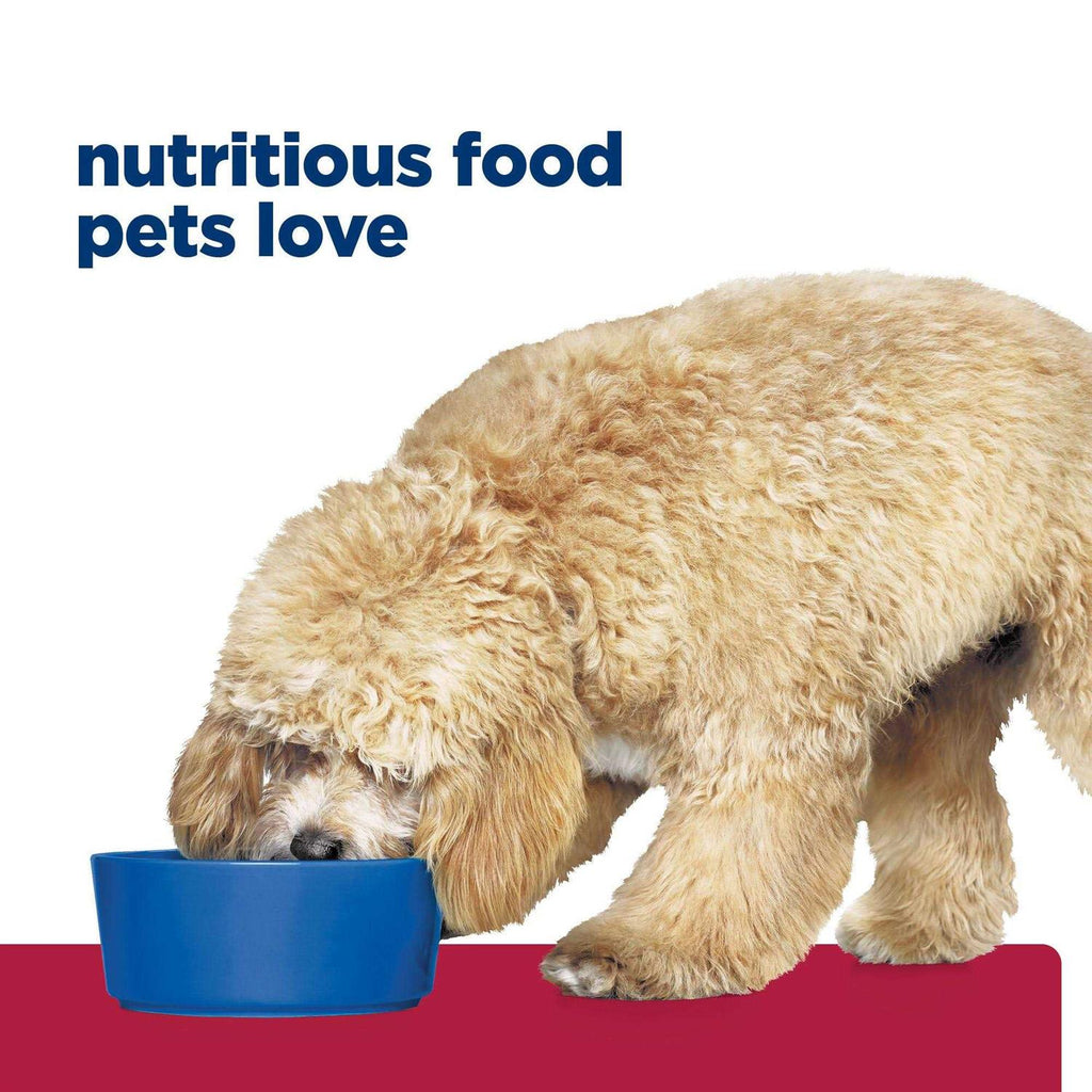 Chicken Flavor Dry Dog Food B743