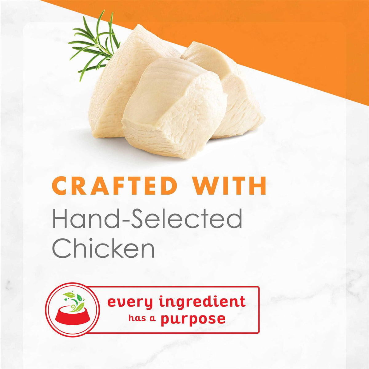 White Meat Chicken Broth Wet Cat Food B904048