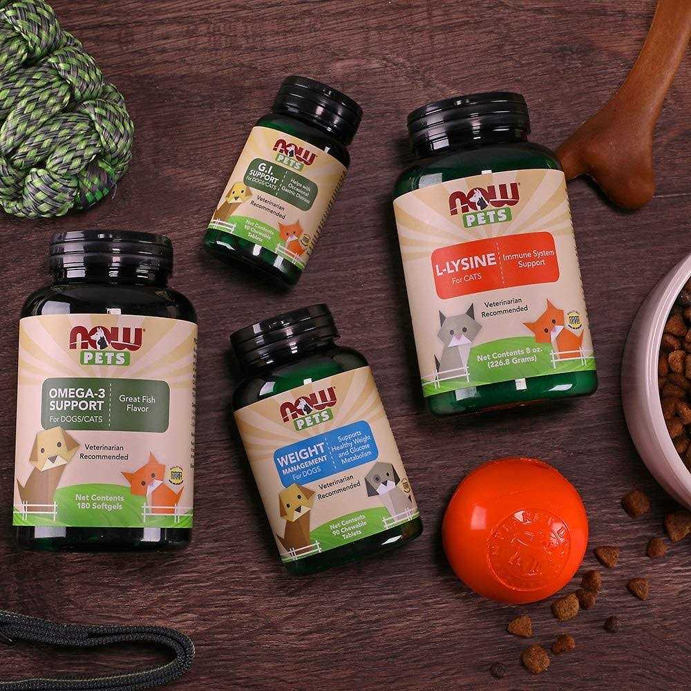 Weight Management for Dogs X6911