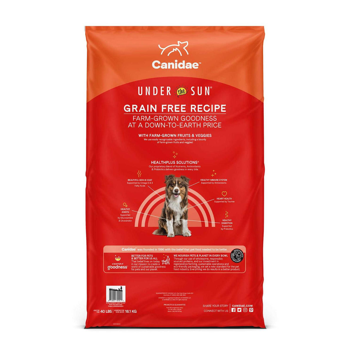 Grain Free Lamb Dry Dog Food T8639