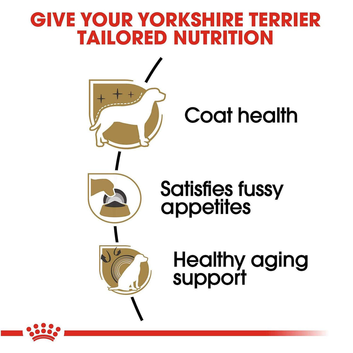Adult Yorkshire Terrier Dry Dog Food R370719