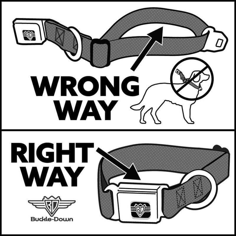 Dog Collar Seatbelt Buckle E1403