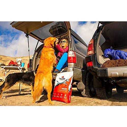 Turkey Dry Dog Food S99884