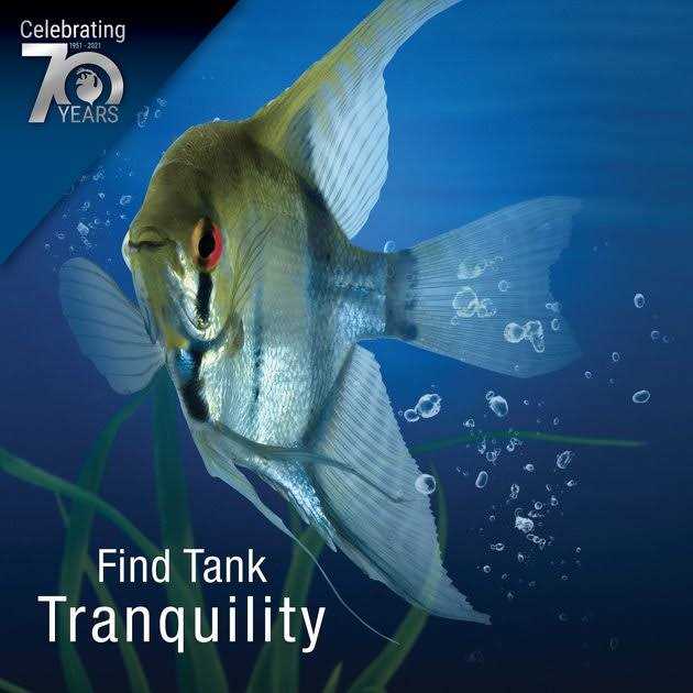 Terrarium & Aquarium Filter G7306