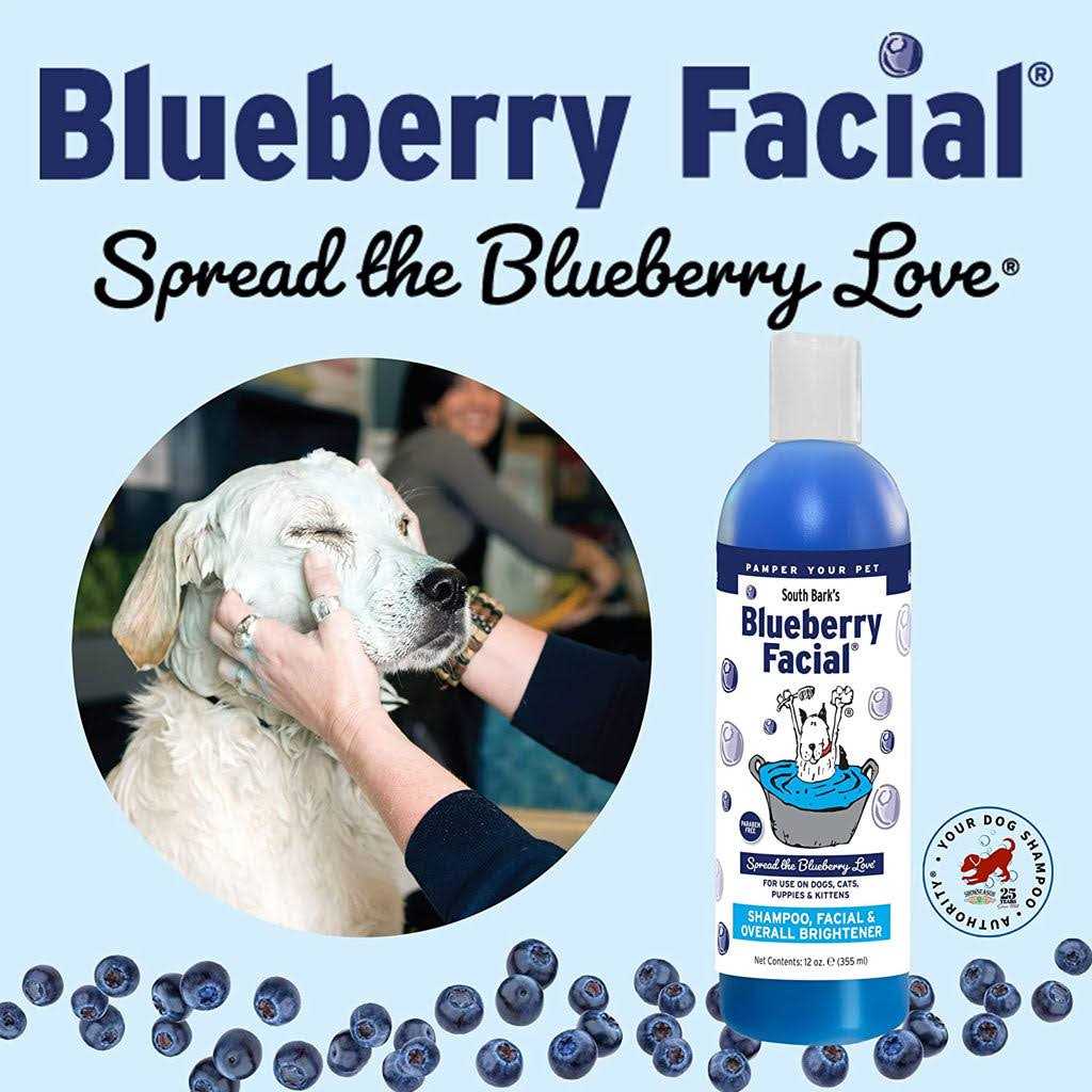 Blueberry Facial Q731826