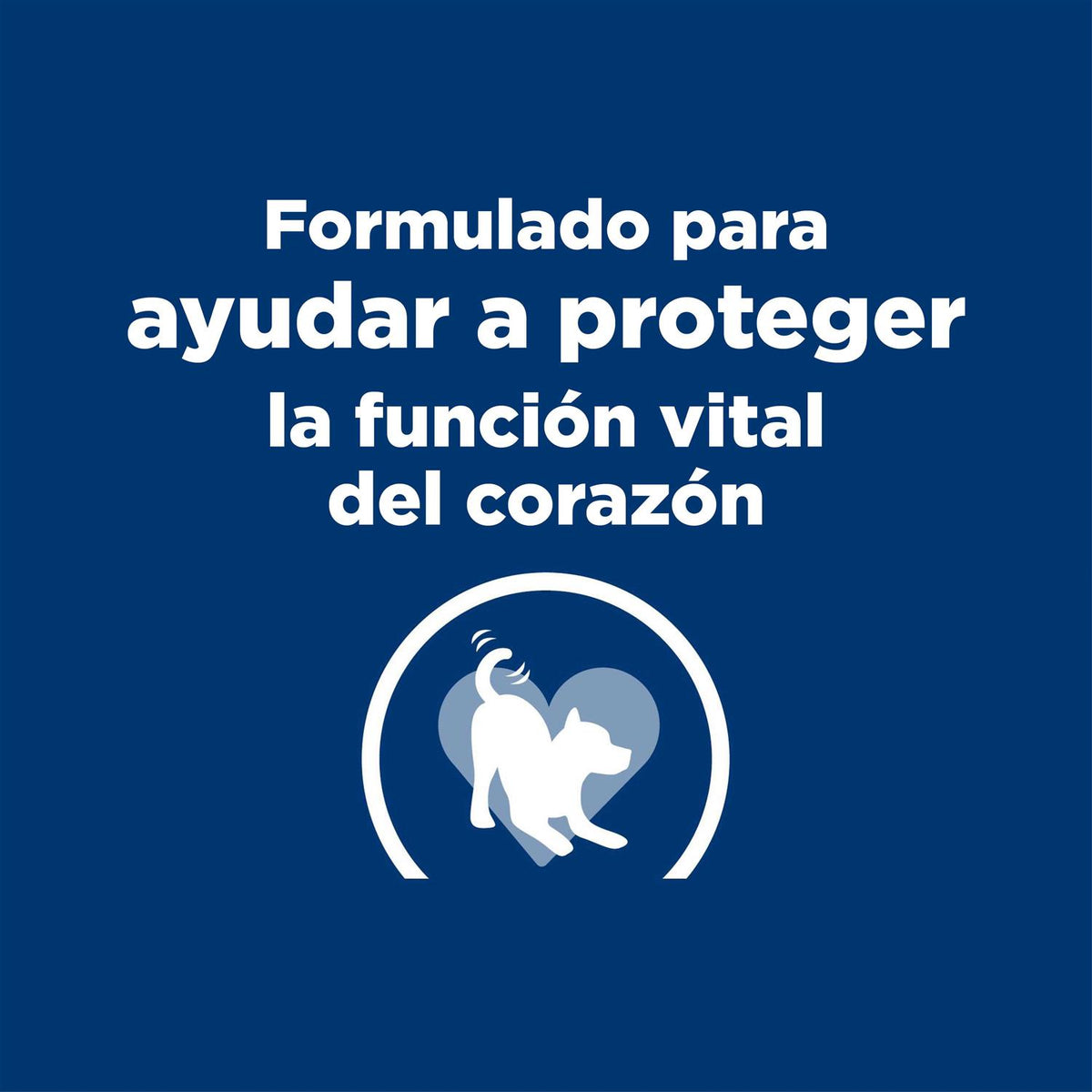 Chicken Flavor Dry Dog Food B743