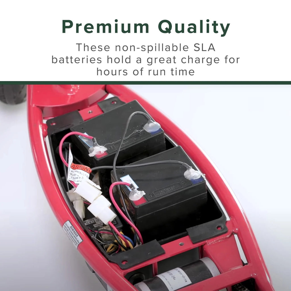 24 Volt Battery Pack T79385