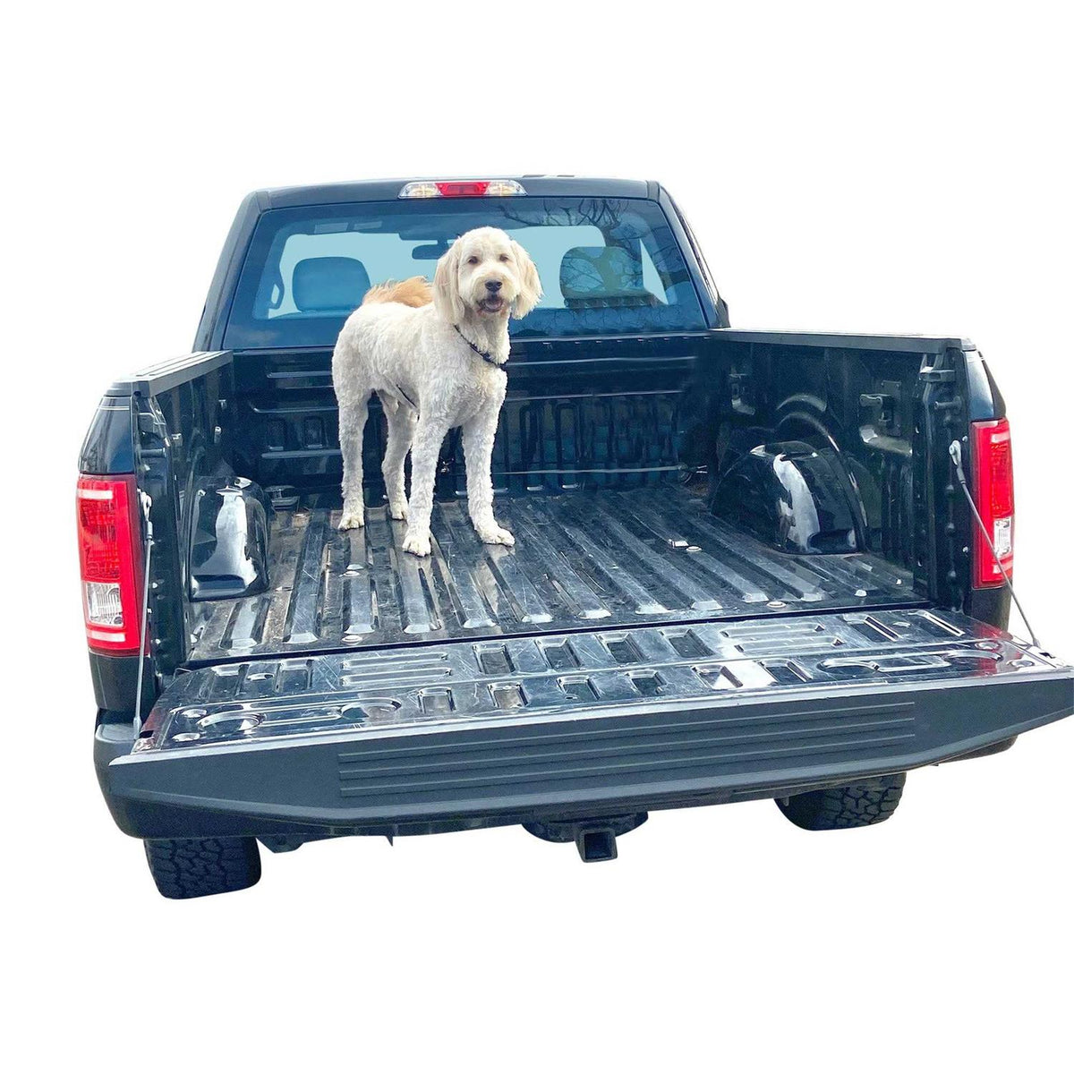 Dog Truck Bed Leash Tether L17232