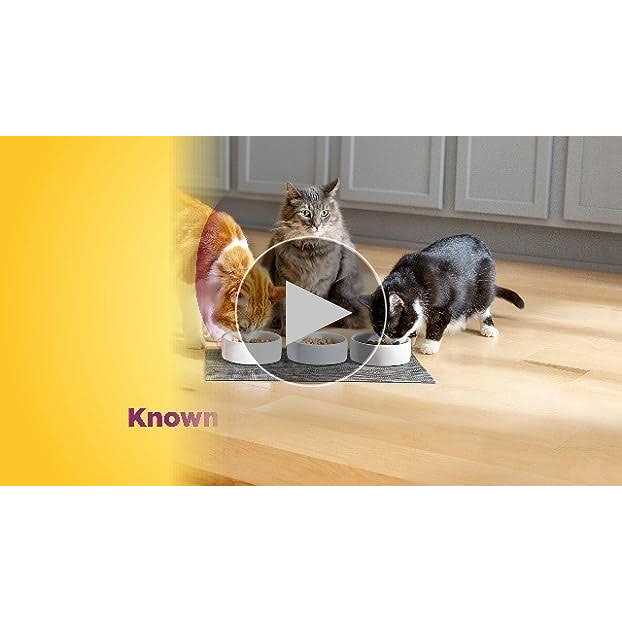 Hairball Control Dry Cat Food Q5515