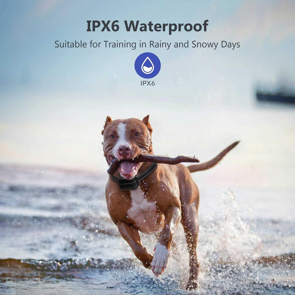 Waterproof Dog Bark Collar K6178