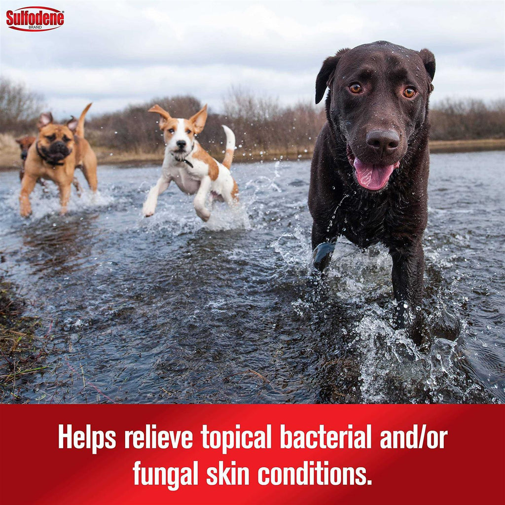 Dog Ointment U96969