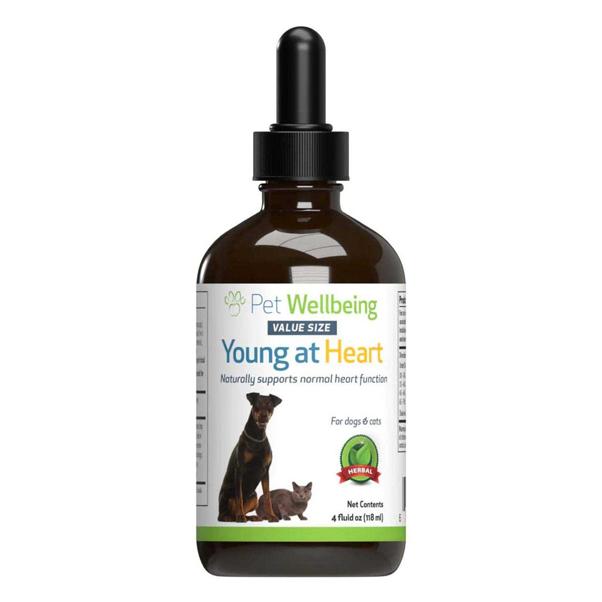 Young at Heart for Cats V156497