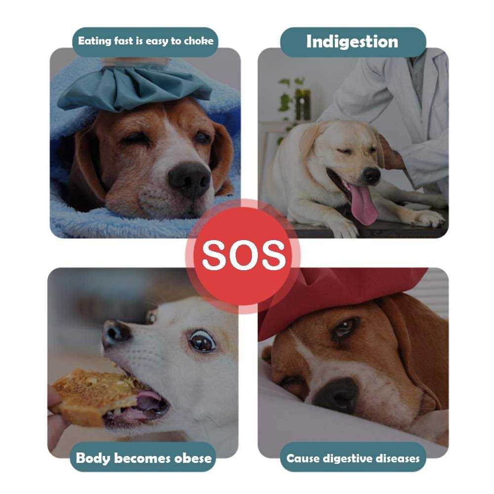 Slow Feeder Non Slip Dog Bowl C866823