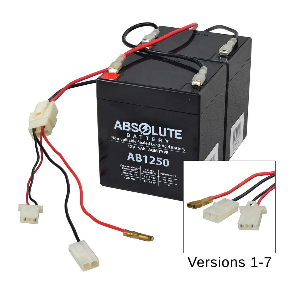 24 Volt Battery Pack T79385