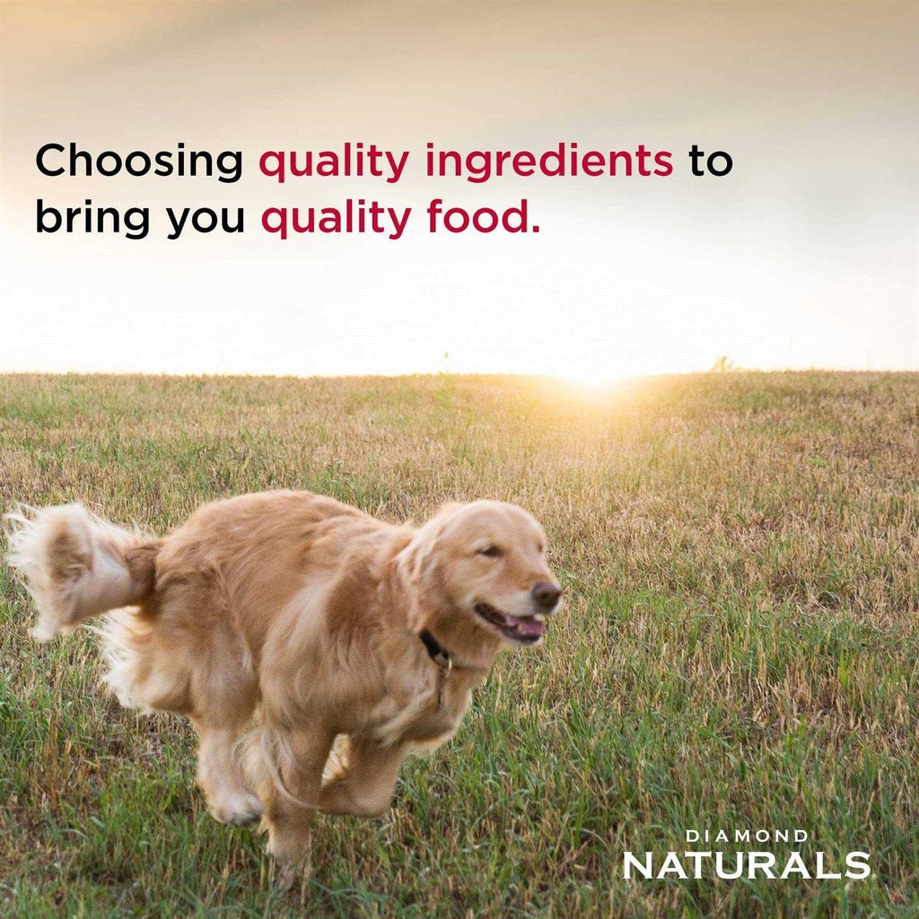 Extreme Athlete Dry Dog Food D472