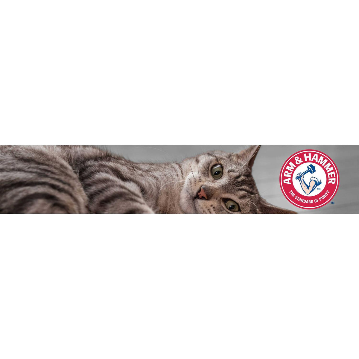 Clumping Cat Litter V92718