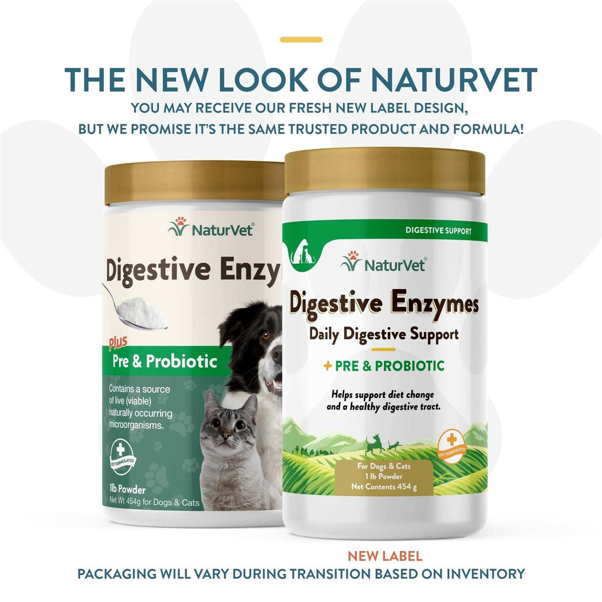 Digestive Enzymes J78067