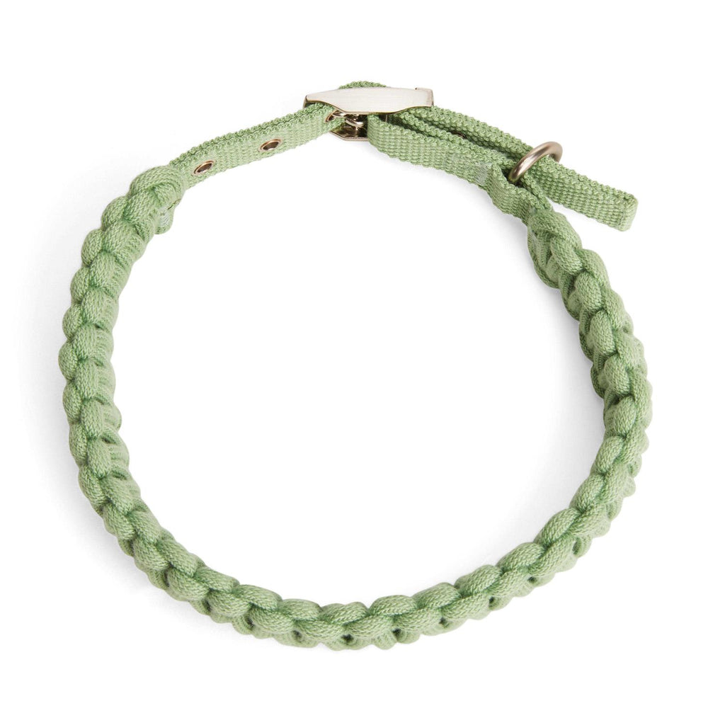 Macrame Dog Collar O483418