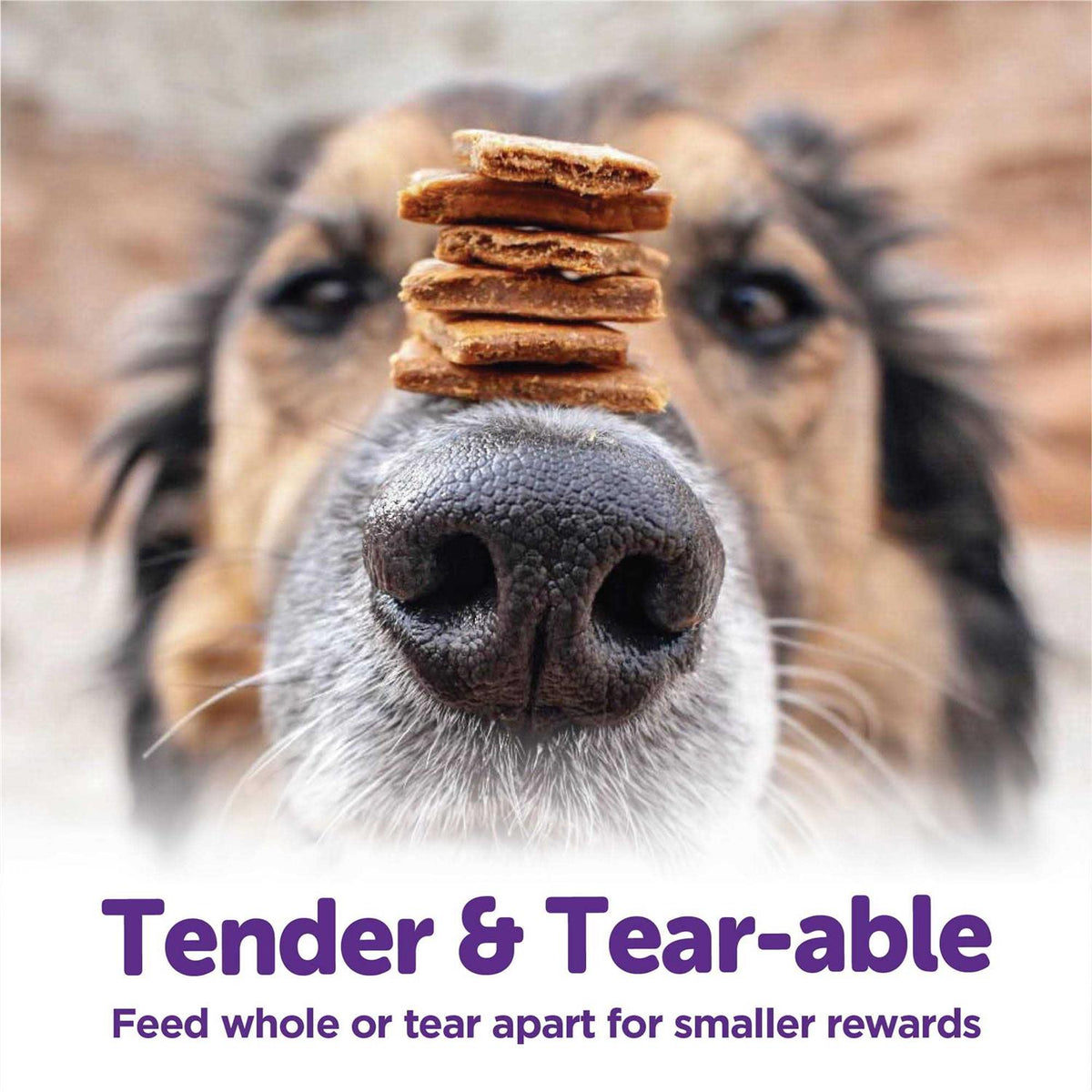 Turkey & Duck Recipe Dog Treats O557