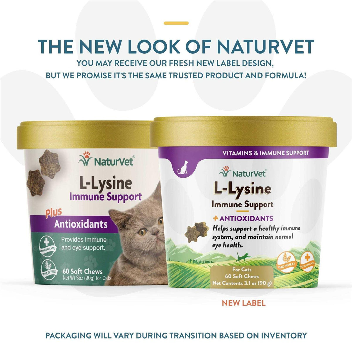 L-Lysine Immune Support Plus Antioxidants U574081