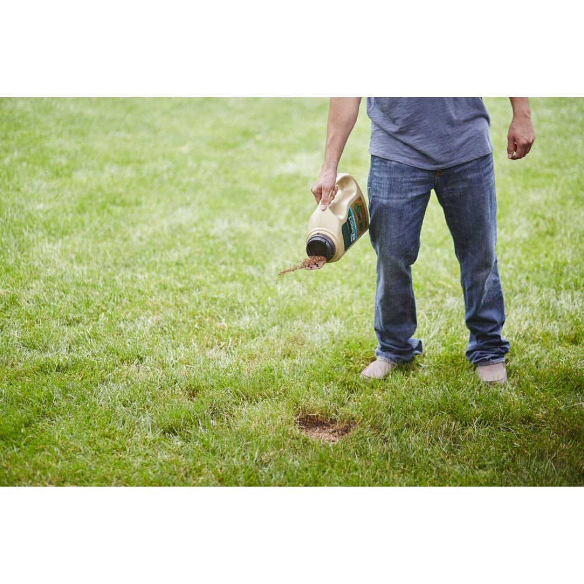 Dog Spot Repair N85941