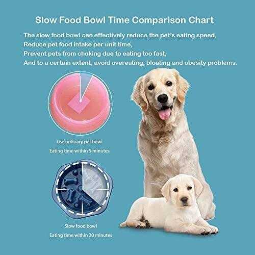 Slow Feeder Non Slip Dog Bowl C866823