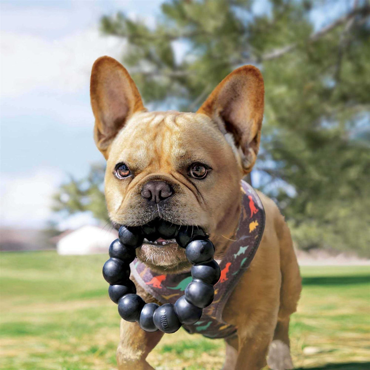 Dog Toy S766