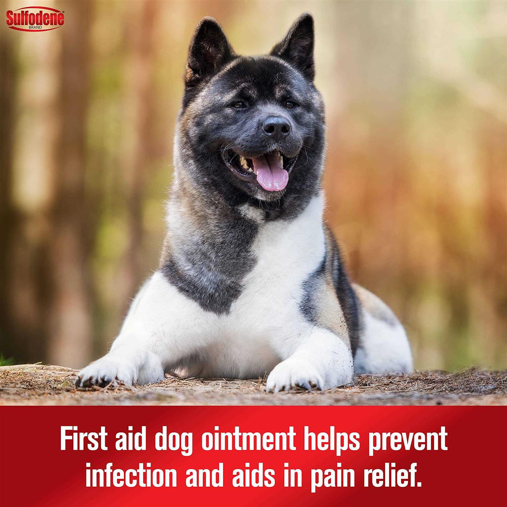Dog Ointment U96969