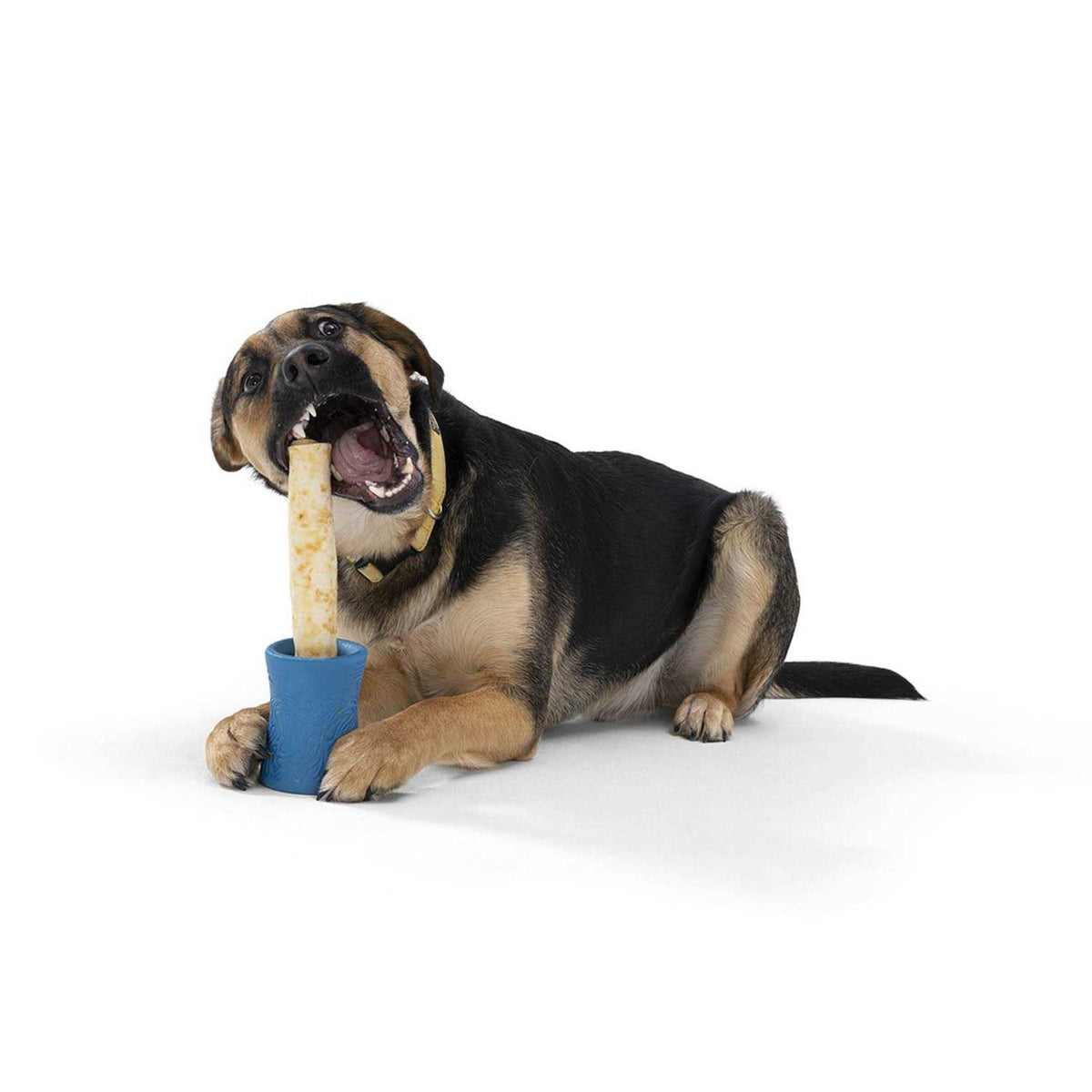 Dog Toy X7593